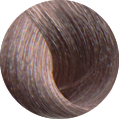 Oroexpert