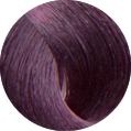 Oroexpert