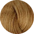 краска Oroexpert