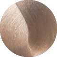 Oroexpert