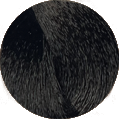 Oroexpert