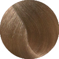 Oroexpert