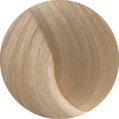 Oroexpert