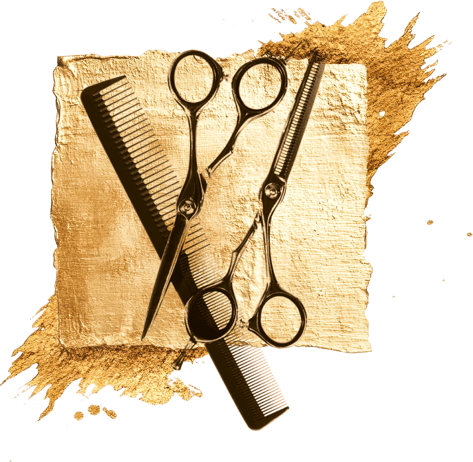 Oroexpert