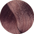 Oroexpert